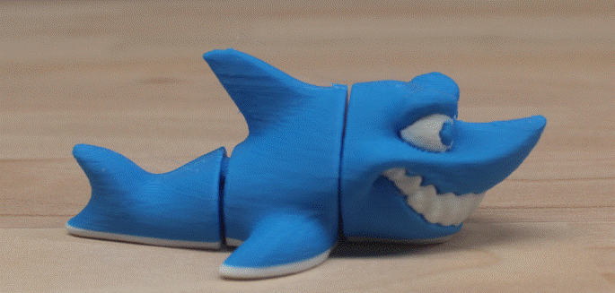 Ocean Creatures