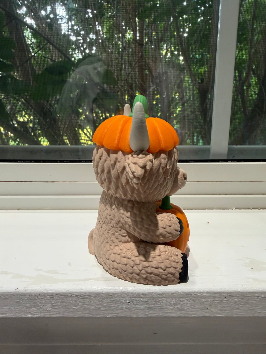 Baby Highland Cow holding a pumpkin with hat