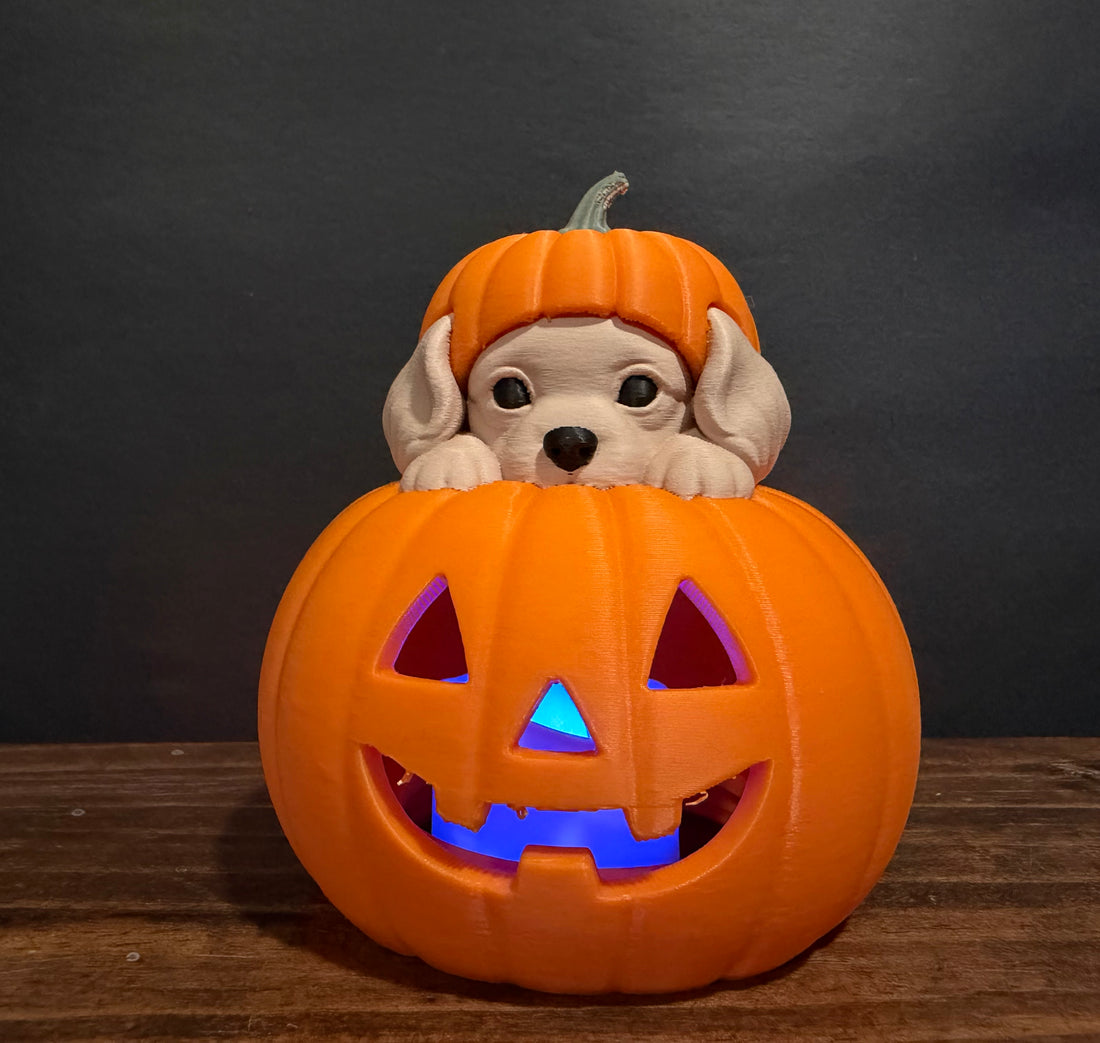 Halloween Jack-O’-Lantern Pumpkin with Animal Topper