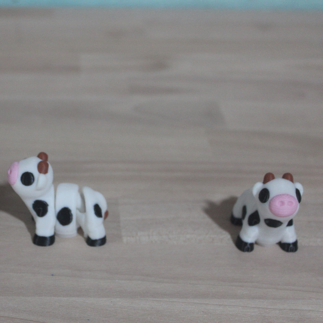 Mini Cow