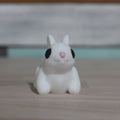 Mini Bunny RS3D