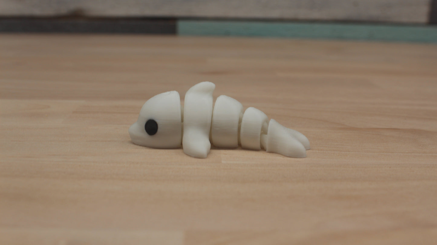 Mini Dolphin RS3D