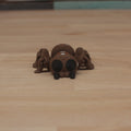 Mini Spider RS3D
