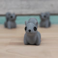 Gray Squirrel
