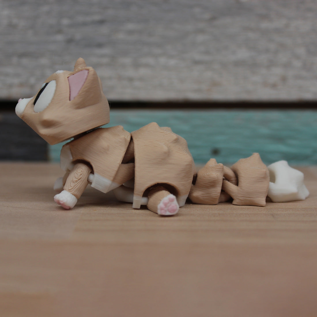 Mits The Tan Cat