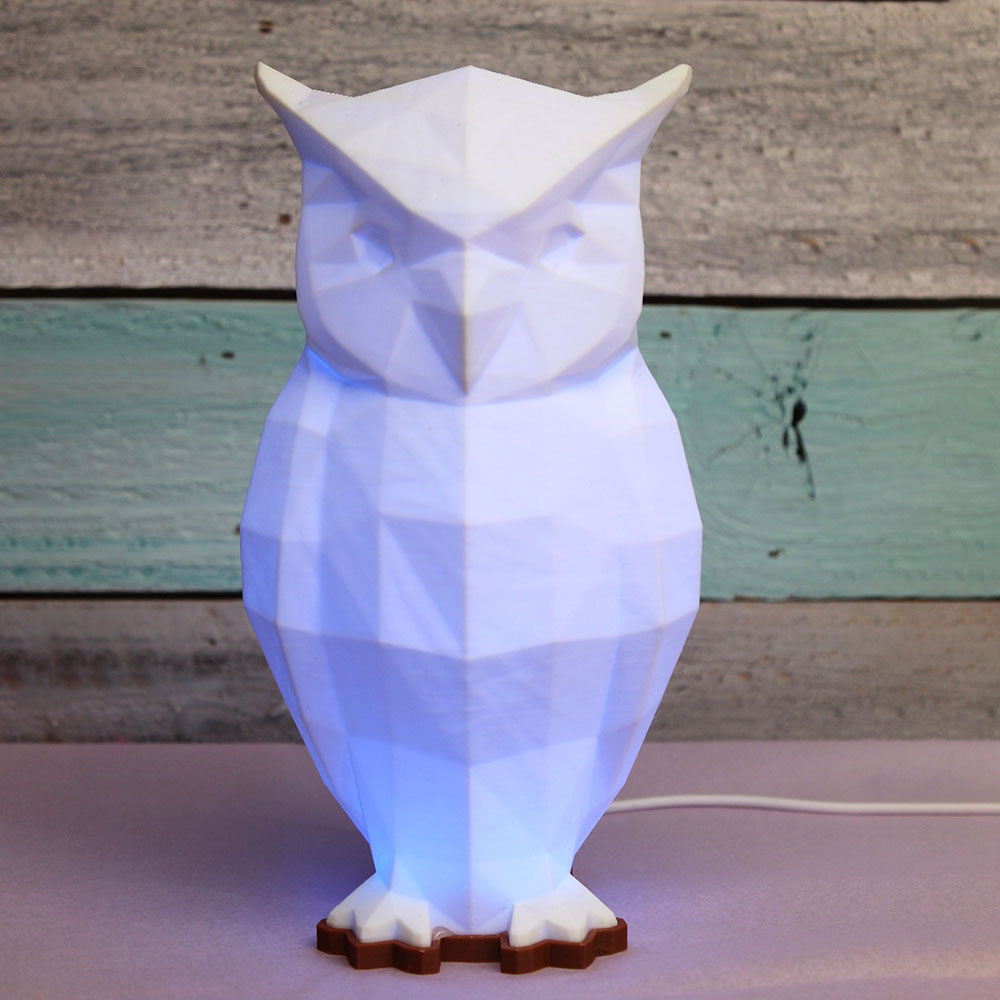 Multi Color 6 LED RGB with Remote Night Lights- Normal Size OWL | RS3D