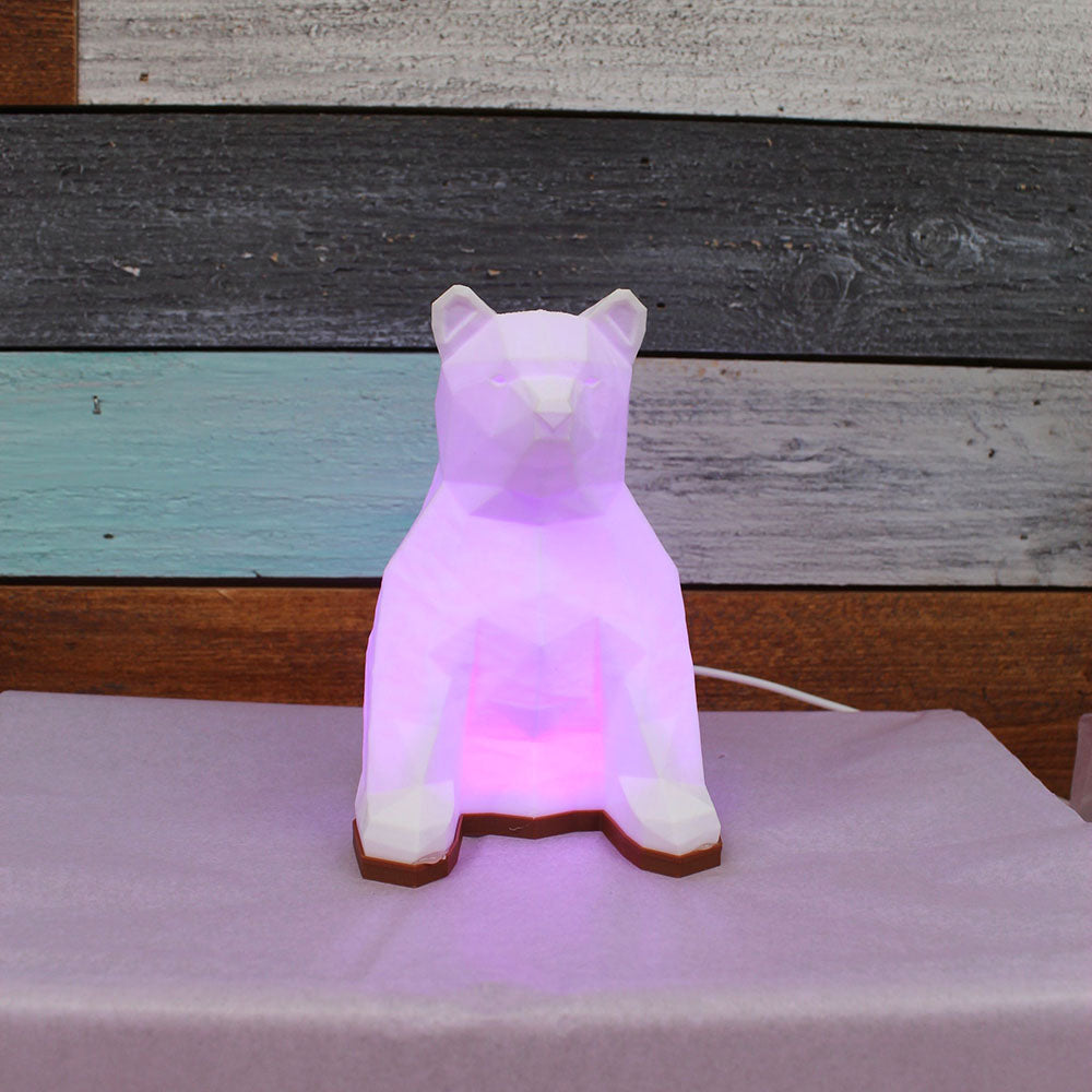 Multi Color 6 LED RGB with Remote Night Lights- Large Size Bear | RS3D