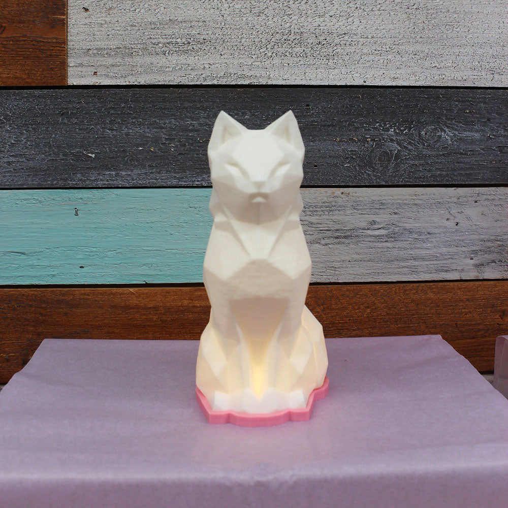 Multi Color 6 LED RGB with Remote Night Lights- Normal Size CAT | RS3D