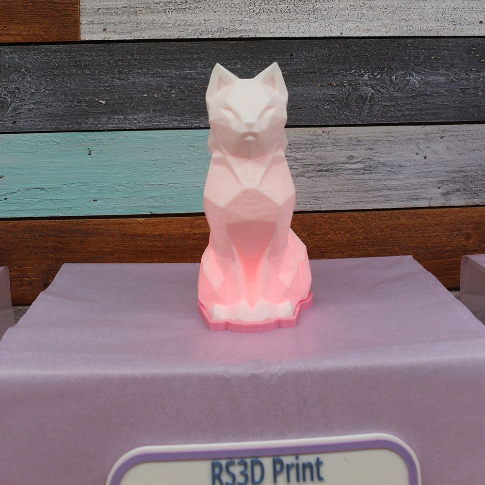 Multi Color 6 LED RGB with Remote Night Lights- Large Size CAT | RS3D