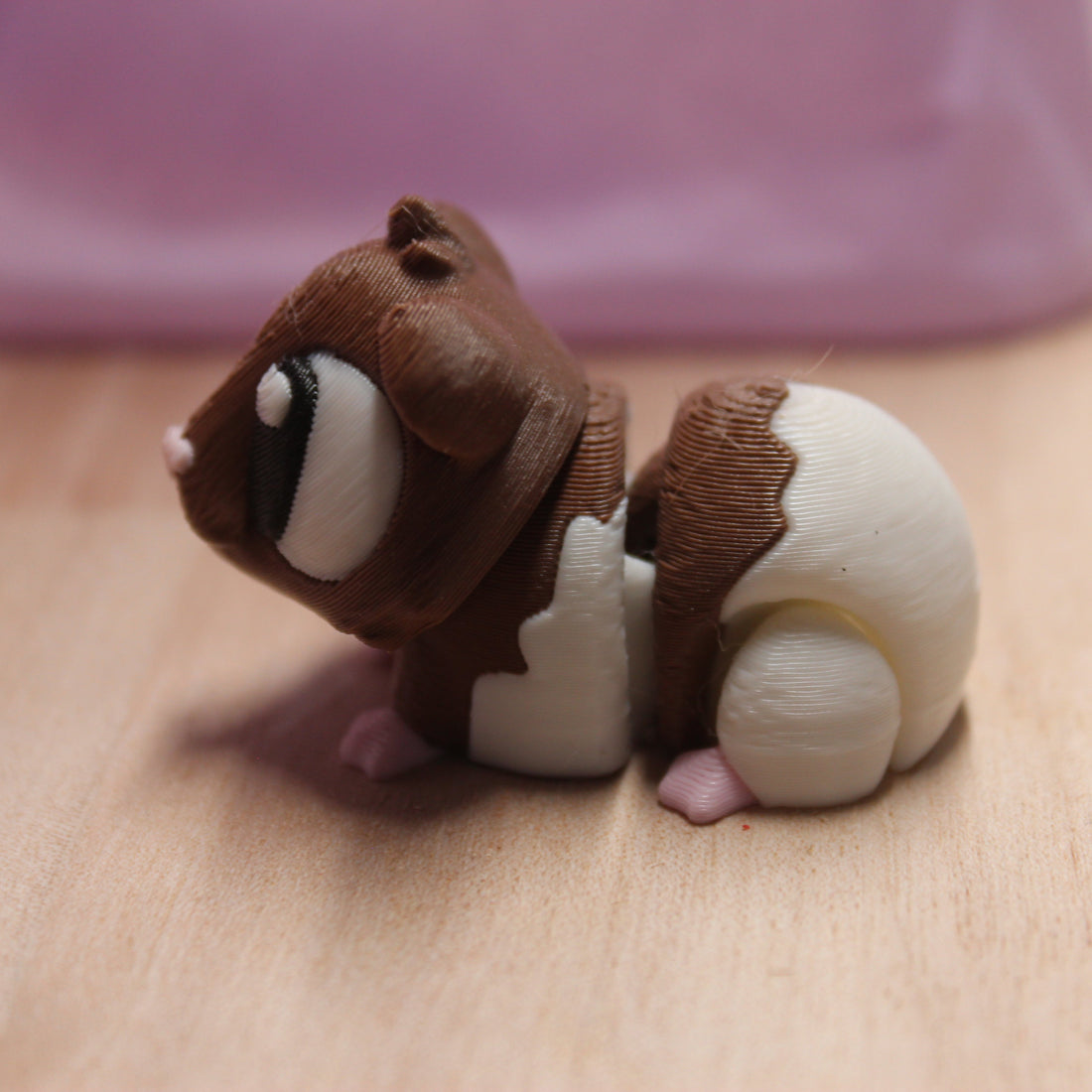 Roofis The brown and white GunniPig