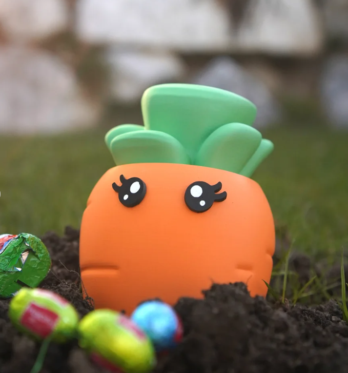 Carrot Container