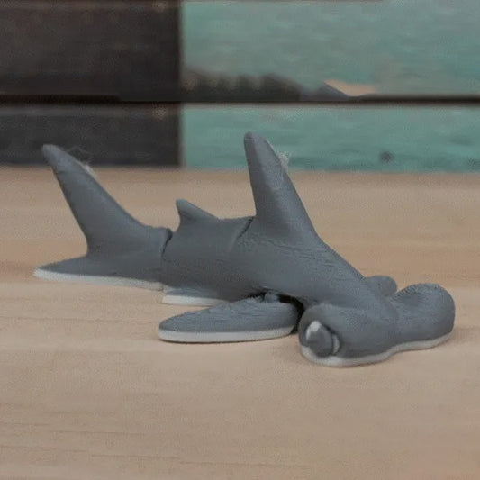 Mini Hammer Head Shark