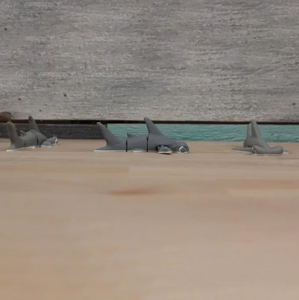 Mini Hammer Head Shark