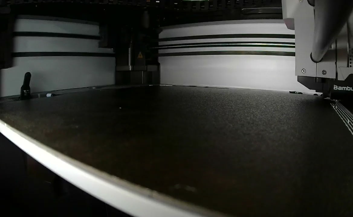 Load video: MINI OWL VIDEO