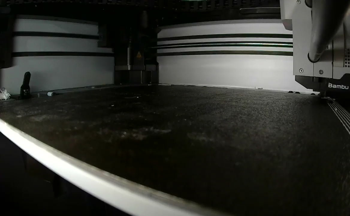 Load video: MINI DINOSAUR VIDEO